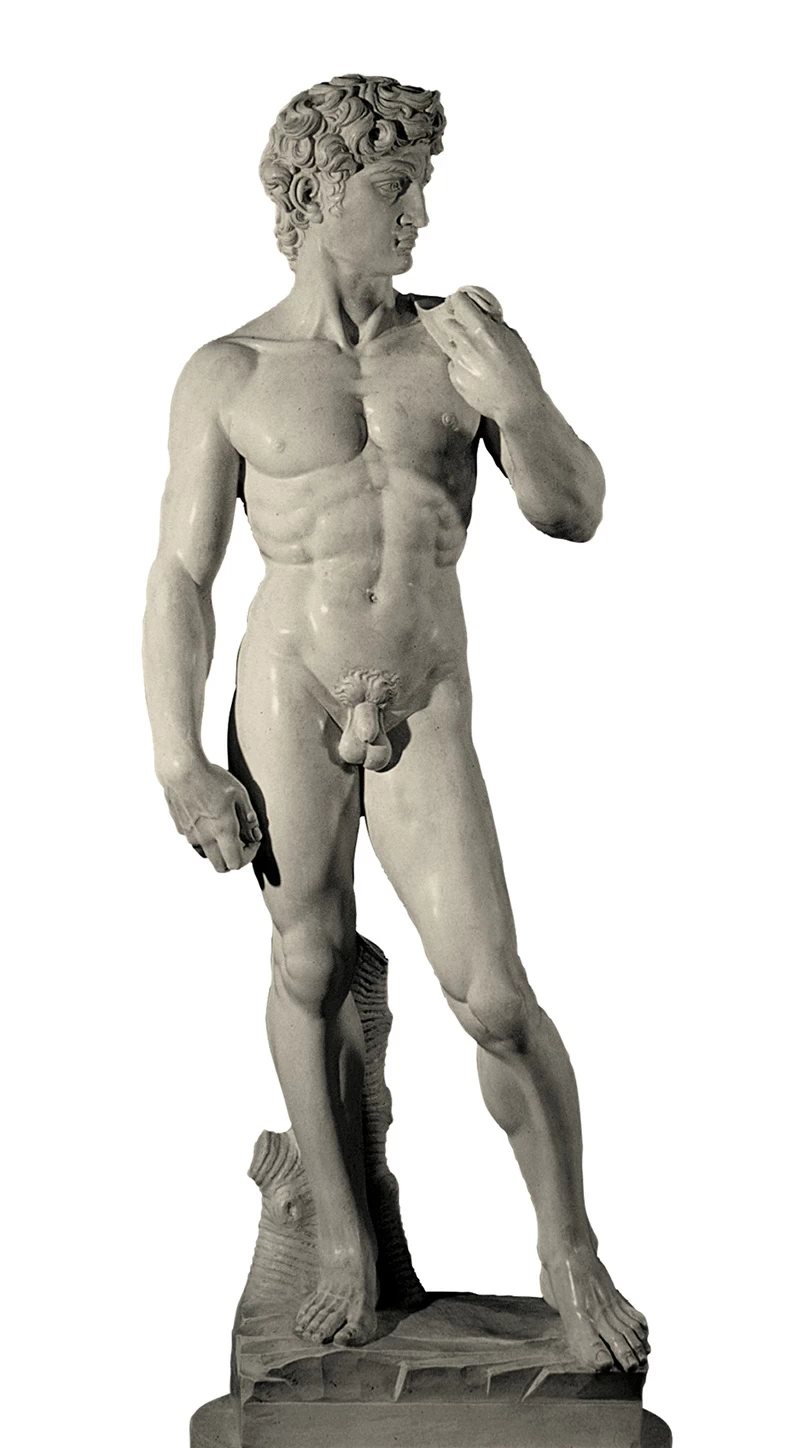 Il Davide - Galleria dell'Accademia, Firenze